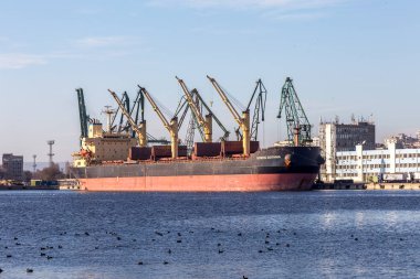 Varna, Bulgaristan - 21 Kasım 2015: Karadeniz Varna bağlantı noktası, Karadeniz. Büyük deniz vinçler kargo navlun sanayi deniz gemi yüklenir.