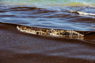 Eski kirli yosun sahile çivilenmiş dalga kirli deniz. Kahverengi yosun hattı sahilde deniz sörf ile kirli. Kirli deniz, çevre kirliliğinin çevre sorunu. Dalga deniz yosununa. Plaj kapalıdır. Banyo yasak