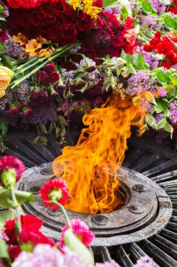 Anavatan düşmüş savunucuları ateş etrafında çiçekli Eternal Flame bilinmeyen denizci anısına anıt. 