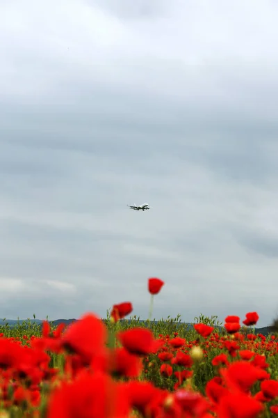 Varna Bulgarien Mai 2017 Das Flugzeug Fliegt Den Abendhimmel Über — Stockfoto