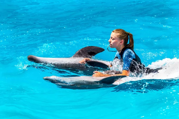 Odessa Ukraine June 2013 Dolphins Creative Entertaining Show Dolphinarium Full — Stock Photo, Image