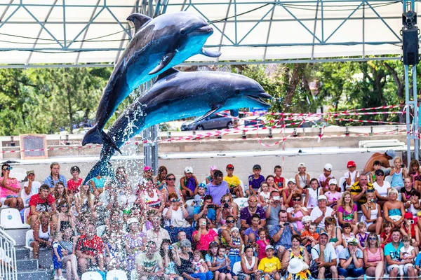 Odessa Ukraine June 2013 Dolphins Creative Entertaining Show Dolphinarium Full — Stock Photo, Image