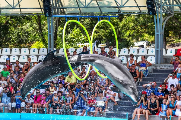 Odessa Ukraine June 2013 Dolphins Creative Entertaining Show Dolphinarium Full — Stock Photo, Image