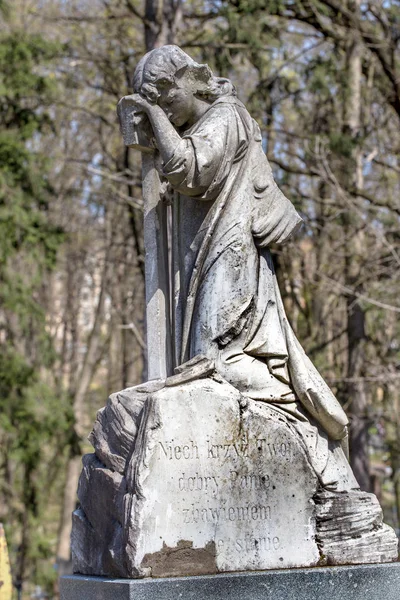 Zhitomir Oekraïne April 2015 Historische Pools Katholieke Begraafplaats Monumenten Standbeelden — Stockfoto