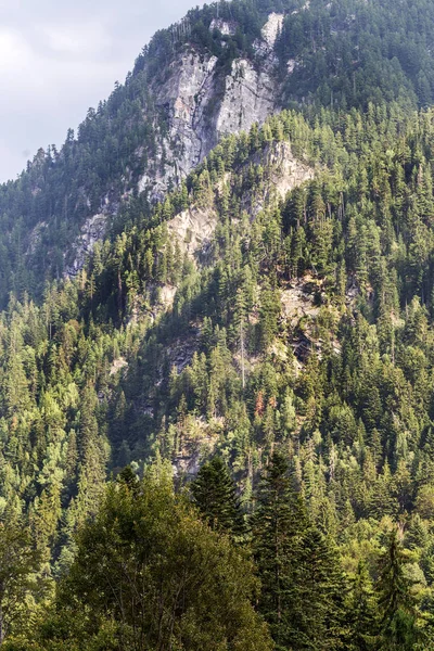 Scenic Peisaj Montan Munții Pirin Bulgaria Vedere Montană Vară Pentru — Fotografie, imagine de stoc