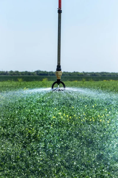 明るい日当たりの良い夏の日に処理された農業分野の操作で農業潅漑の散水装置を自動化 — ストック写真