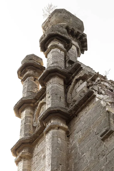 Interno Mistico Rovine Facciata Edificio Rovina Abbandonato Antico Castello Palazzo — Foto Stock