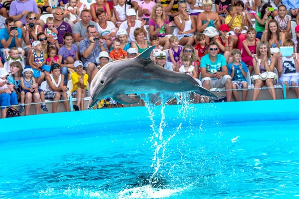 Odessa Ukraine June 2013 Dolphins Creative Entertaining Show Dolphinarium Full — Stok Foto