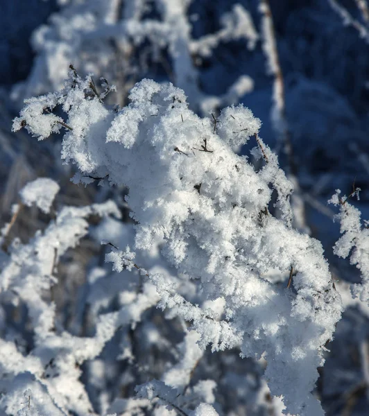 Schöne Winterlandschaft Szene Hintergrund Mit Schneebedeckten Bäumen Und Eis Fluss — Stockfoto