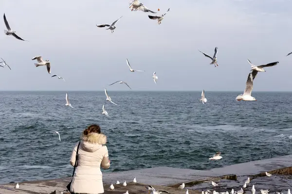 People Feed Flock Seagulls Sea Shore Winter Flock Sea Gulls — Stock Photo, Image