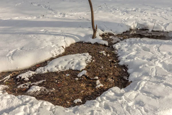Güzel Kış Manzarası Ağaçlar Karla Kaplı Kış Resmi Seçici Odak — Stok fotoğraf