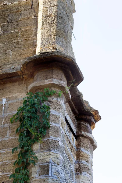 Interior Místico Ruínas Fachada Edifício Arruinado Abandonado Castelo Antigo Mansão — Fotografia de Stock