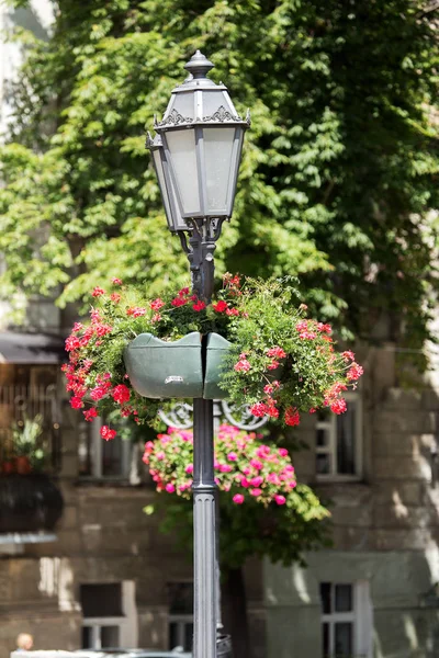 Oryginalny Styl Vintage Lampy Uliczne Oświetlenia Ulic Miasta Lato Słupy — Zdjęcie stockowe