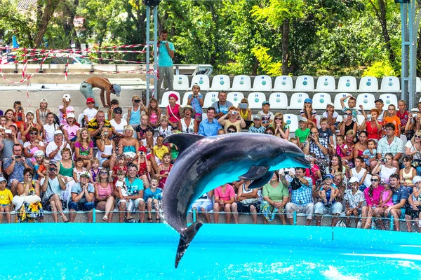 Odessa Ukraine June 2013 Dolphins Creative Entertaining Show Dolphinarium Full — Stock Photo, Image