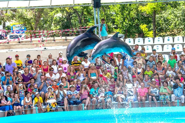 Odessa Ukraine June 2013 Dolphins Creative Entertaining Show Dolphinarium Full — Stock Photo, Image