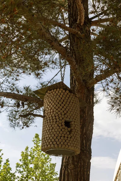 Fågelholk Ett Träd Forest Park Handhållna Trä Fågel Skydd Att — Stockfoto