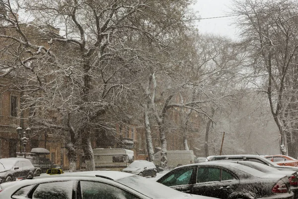 Odessa Ukraine Janeiro 2018 Forte Queda Neve Ciclone Nas Ruas — Fotografia de Stock