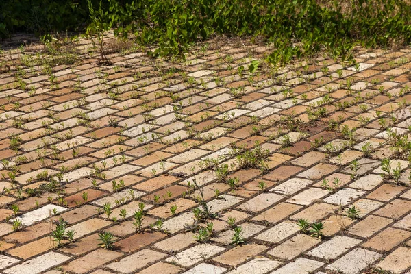 Beschaffenheit Der Alten Gehwegpflasterplatte Mit Abnutzungsspuren Und Rissen Spalten Zwischen — Stockfoto