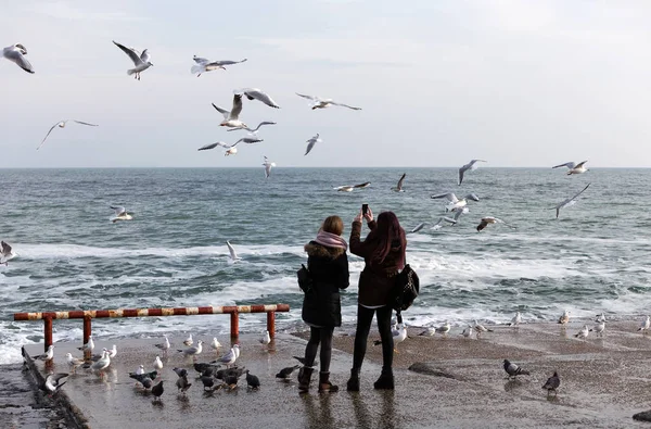 Odessa Ucrânia Janeiro 2016 Pessoas Alimentam Bando Gaivotas Costa Mar — Fotografia de Stock