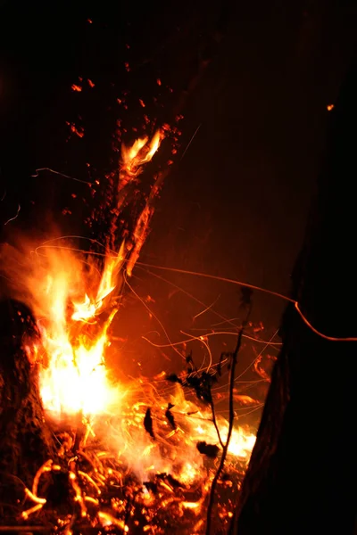 Incendio Forestale Albero Caduto Bruciato Sul Terreno Molto Fumo Quando — Foto Stock