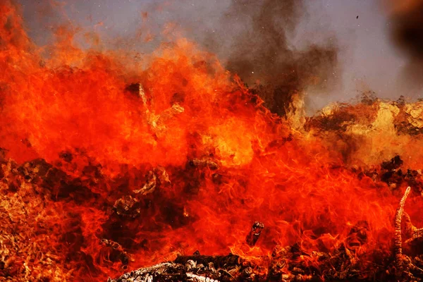 Naturkatastrophe Waldbrand Nähert Sich Wohngebäuden Das Feuer Zerstört Während Einer — Stockfoto