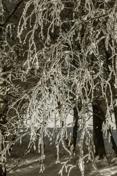 Schöne Winterlandschaft Szene Hintergrund Mit Schneebedeckten Bäumen Und Eis Fluss — Stockfoto