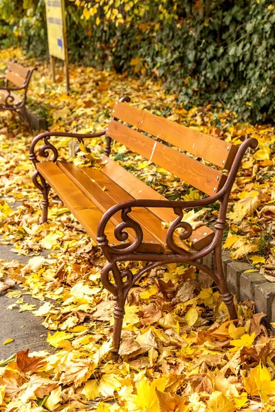 Bancos Madera Del Parque Ciudad Otoño Hojas Caídas Colores Con —  Fotos de Stock