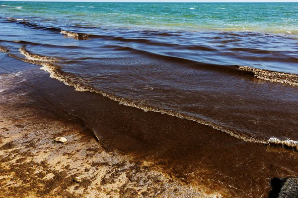 Грязная Морская Волна Прибила Берегу Старые Грязные Водоросли Коричневой Линией — стоковое фото