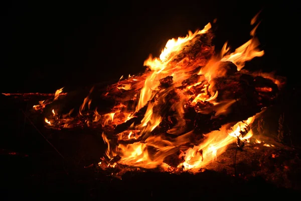 Forest Fire Fallen Tree Burnt Ground Lot Smoke Vildfire Fire — Stock Photo, Image