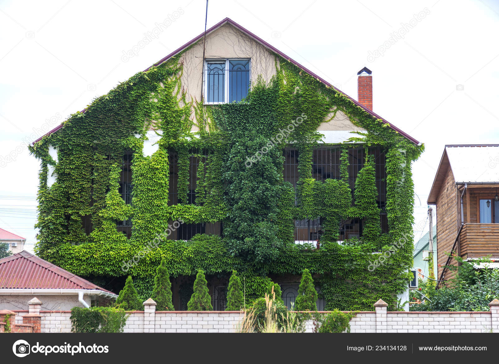 現代の家は 緑のツタで覆われて グリーンのツタをカーリングは 家の壁に生えています 外から家の壁にツタに覆われた家の窓を見る 生態学と都市 都市環境の概念で緑の生活 ストック写真 C Alesik
