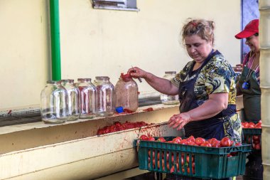 Odessa, Ukrayna - 25 Eylül 2015: domates konserve meyve ve sebze fabrika üretim çalışma süreci. Konserve Gıda üretim işçilerin. Sebze işleme.
