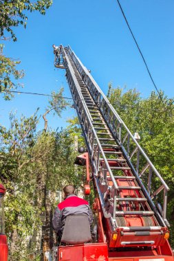 Odessa, Ukrayna - 14 Ekim 2015: Çalışma chainsaw kuru odun kesmek. Groundscare kentsel hizmet vinç yardımıyla acil ağaçlar ortadan kaldırır. Acil durum önleme