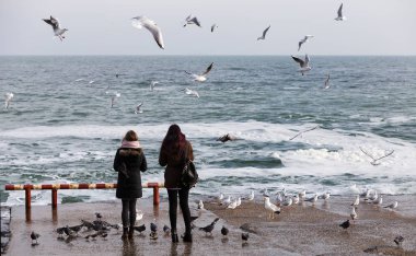 İnsanları martılar deniz kıyısında bir sürü kışın beslemek. Denize yakın çekim üzerinde bir sürü deniz martı. Martılar denize kış sahilde. Martılar uçuş gıda insanların elinden yakalamak