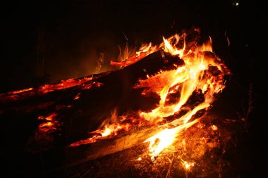 Orman yangını. düşmüş ağaç duman zaman zemin çok üzerinde yanmış vildfire. ateş her şeyi bırakmak tek yanık ağaç ve ashe yok eder. Doğal afet orman yanıyor. Orman yangınları görselleştirme