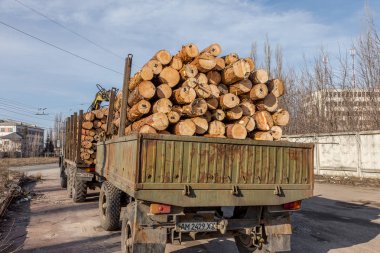 Zhitomir, Ukrayna - 10 Şubat 2016: Kamyon kereste - tüm tedavi edilmezse çam ahşap, yasal yol taşımaktadır. Yasal günlüğü. Çam günlükleri installed ne zaman devlet vergi ödeme fişleri ile