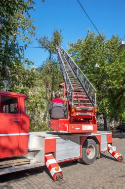 Odessa, Ukrayna - 14 Ekim 2015: Çalışma chainsaw kuru odun kesmek. Groundscare kentsel hizmet vinç yardımıyla acil ağaçlar ortadan kaldırır. Acil durum önleme