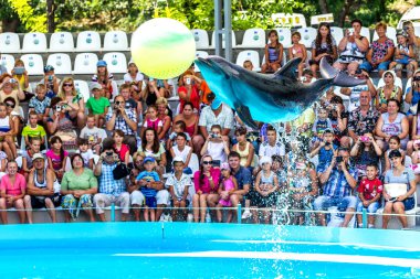 Odessa, Ukrayna - ö. 10 Haziran 2013: Yunuslar dolphinarium ful ziyaretçi ile yaratıcı eğlenceli göstermek üstünde göstermek inanılmaz hileler. seyirciler mutlu 10 Haziran 2013 odessa, Ukrayna memnun.
