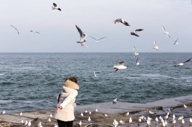 İnsanları martılar deniz kıyısında bir sürü kışın beslemek. Denize yakın çekim üzerinde bir sürü deniz martı. Martılar denize kış sahilde. Martılar uçuş gıda insanların elinden yakalamak