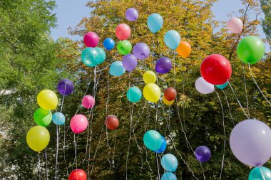 Renkli renkli şişme topları arka plan, ağaç ve mavi gökyüzü hava festival festival süresince uçakla. Selam renkli balonları gökyüzünde. Mutlu tatil arka plan