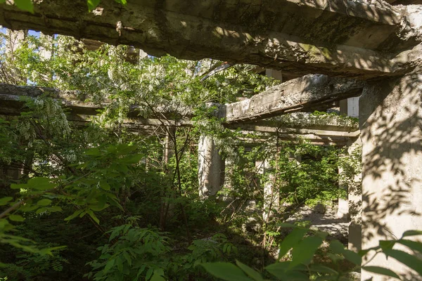 Terk edilmiş bombalama ve yıkılan bina bombardımanı patlama nedeniyle yok. Kabukları, madde işaretleri ve parçalanmak bir savaş kasıp kavuran Bina duvarlarında delikler. Eski yıkık ev