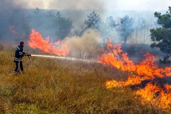 Odessa Ucrânia Agosto 2012 Seca Severa Incêndios Destroem Floresta Estepe — Fotografia de Stock