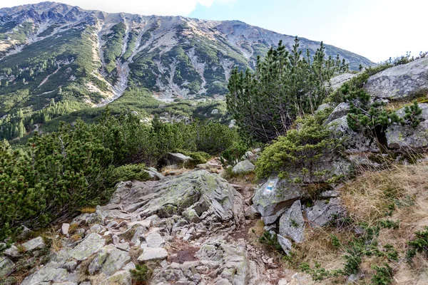 Vackra Ljusa Kontrasterande Bergslandskap Med Bergstoppar Täckta Med Skog Och — Stockfoto