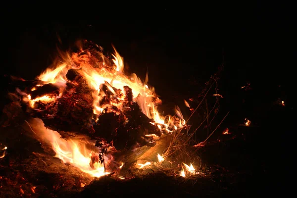 Forest Fire Fallen Tree Burnt Ground Lot Smoke Vildfire Fire — Stock Photo, Image