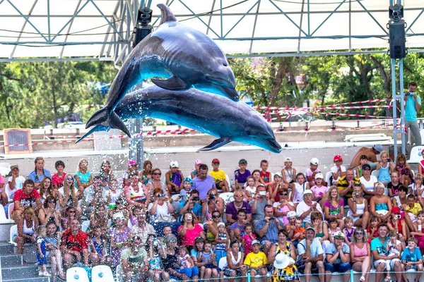 Odessa Ucrania Junio 2013 Delfines Espectáculo Entretenimiento Creativo Delfinario Con — Foto de Stock