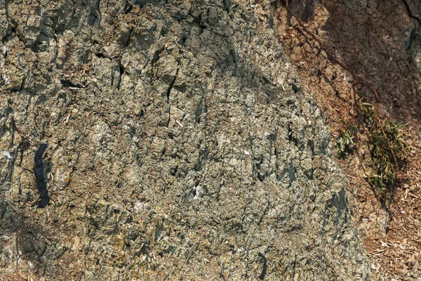 青粘土の地質堆積物 青土は珍しい天然化粧品です ブルークレイ ダイヤモンド鉱床の兆候は ダイヤモンドキンバーライトパイプに関連しています 天然地質資産 — ストック写真
