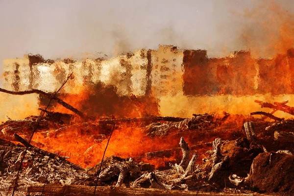 Natural disaster forest fire is approaching residential buildings. The fire destroys everything during a severe summer drought. A bright flame of fire creates a scorching of the hot air. Fiery Mirage