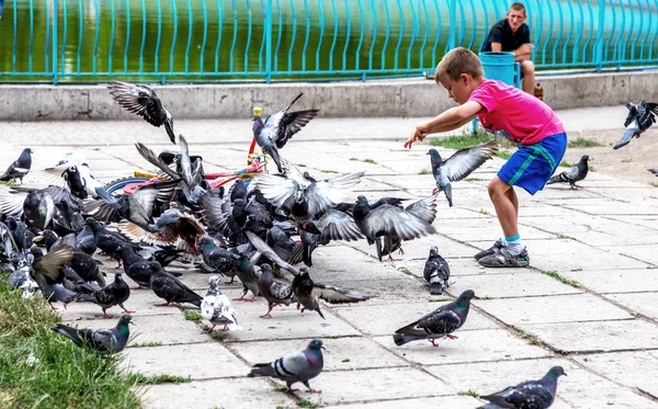 Odessa Ukraina Czerwca 2014 Mały Chłopiec Kanały Stado Rock Gołębie — Zdjęcie stockowe