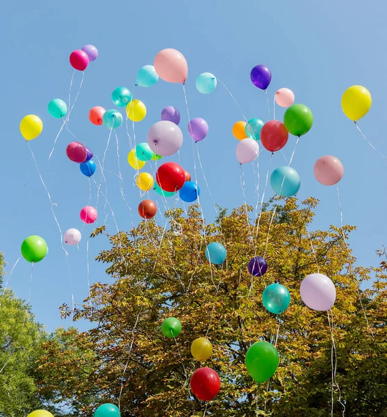 Renkli renkli şişme topları arka plan, ağaç ve mavi gökyüzü hava festival festival süresince uçakla. Selam renkli balonları gökyüzünde. Mutlu tatil arka plan