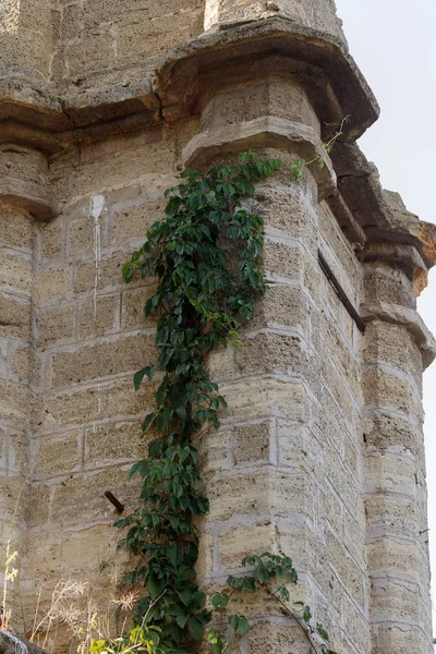 Interno Mistico Rovine Facciata Edificio Rovina Abbandonato Antico Castello Palazzo — Foto Stock