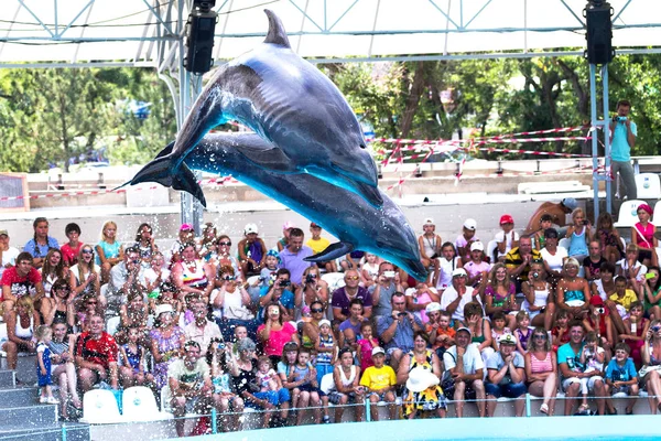 Odessa Ukraine June 2013 Dolphins Creative Entertaining Show Dolphinarium Full — Stock Photo, Image